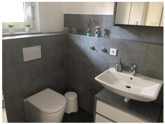 Ferienwohnung Bodensee Nenzingen Hegau Orsingen-Nenzingen Exterior foto